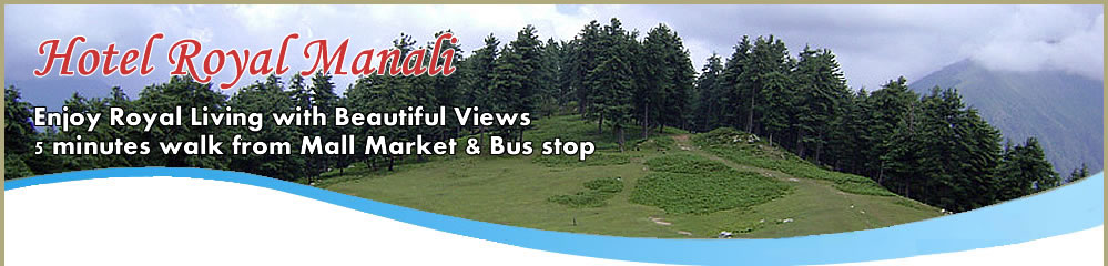 Hotel Royal Manali